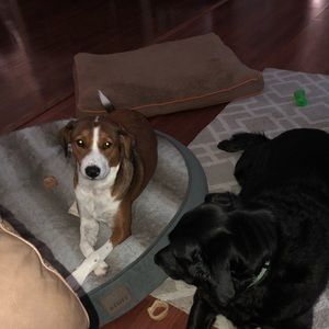 Meet your Posher, Erica